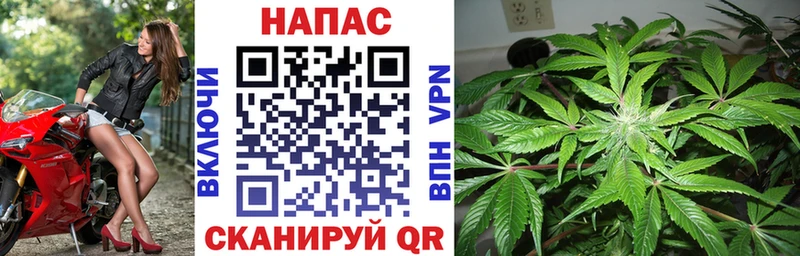 МАРИХУАНА план  Салаир 